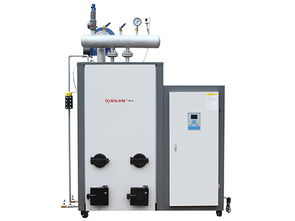 電熱蒸汽發生器 高效節能的現代機電設備及其核心配件